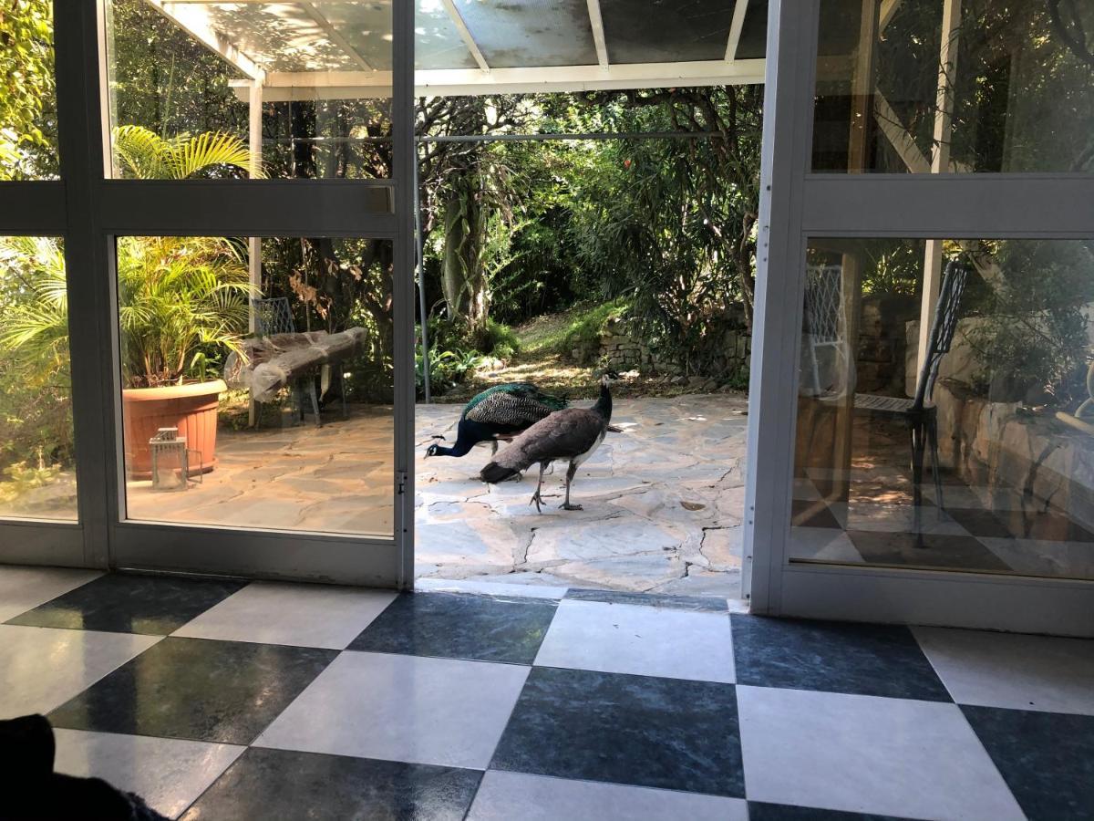 Casa Simba Hotel Estepona Luaran gambar