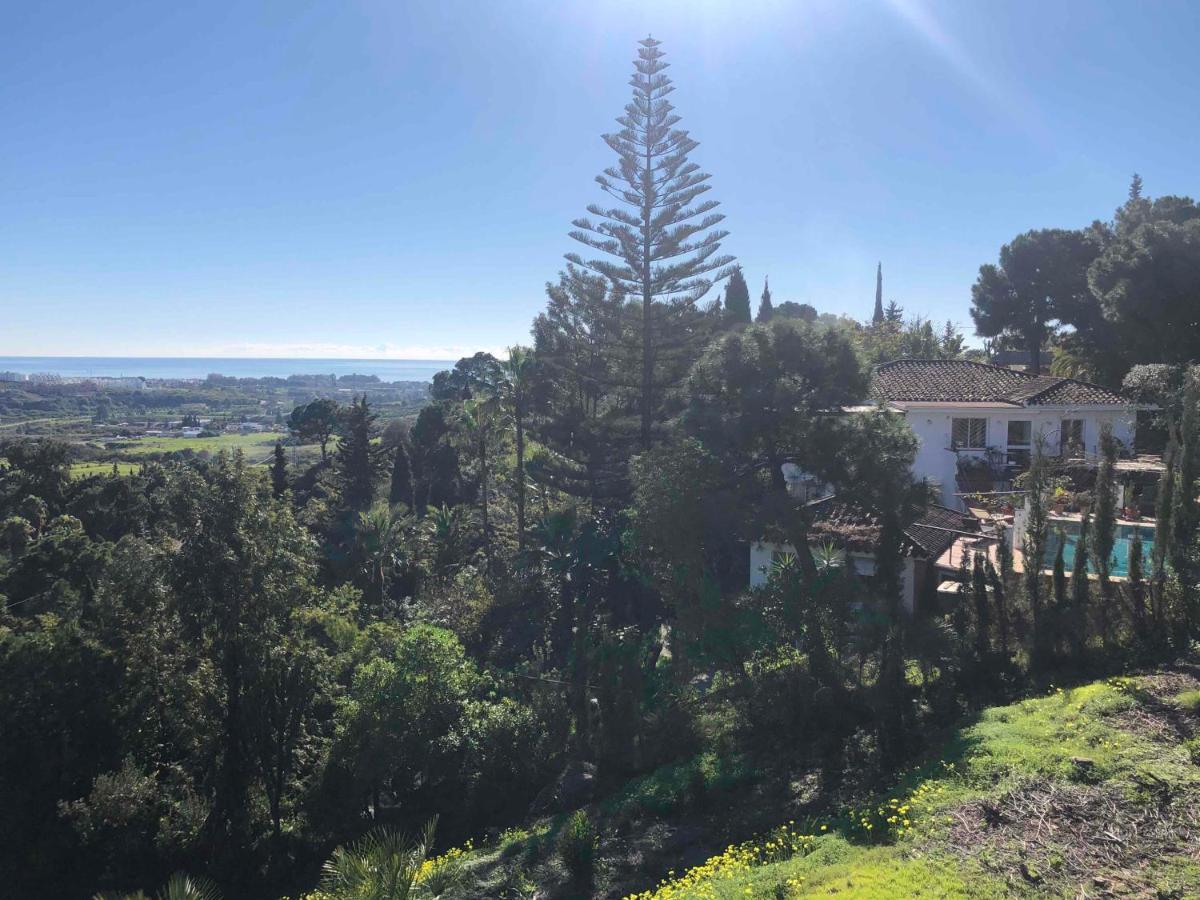 Casa Simba Hotel Estepona Luaran gambar